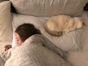 Niki Ang Instagram - 5 years of marriage, countless snoozles with our best boy, each moment stuffed with more love than the last.  Luv 2 luv u kelpie ✨

And happy birthday Beyoncé.