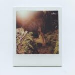 Nikohl Boosheri Instagram - meadow magic and film with @avery.jpeg ✨🌱