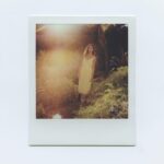 Nikohl Boosheri Instagram - meadow magic and film with @avery.jpeg ✨🌱