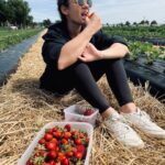 Nilam Farooq Instagram – 🍓🍓🙏☀️ – Bester erster freier Tag seit einigen Wochen – ☀️🙏🍓🍓