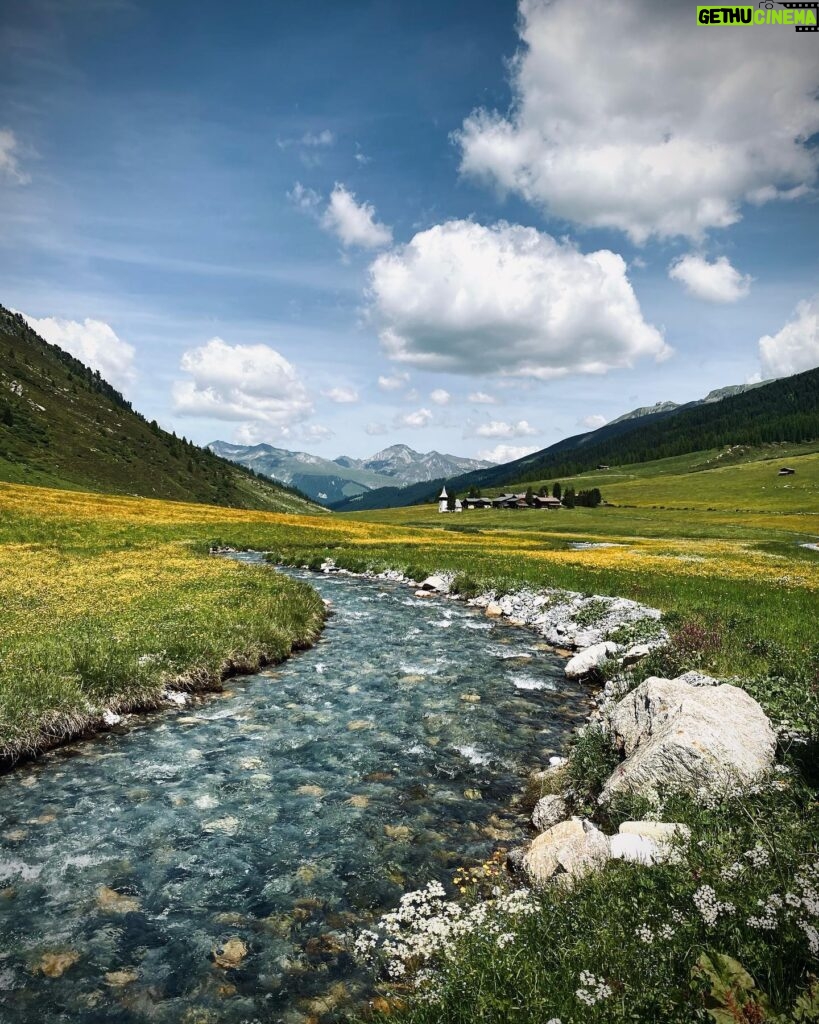 Nilam Farooq Instagram - anzeige Swiss photo dump 🇨🇭 1-3 Nostalgie Zug gefahren 🤩 4-5 Blumen bei schönster Wanderung gepflückt 💐 6-7 Glacier-Express genossen 🛤 Ihr findet jetzt auch ein Schweiz Highlight vom Trip auf meinem Profil, wo ihr quasi nochmal mitreisen könnt. Schon gesehen? :) #VERLIEBTindieSCHWEIZ