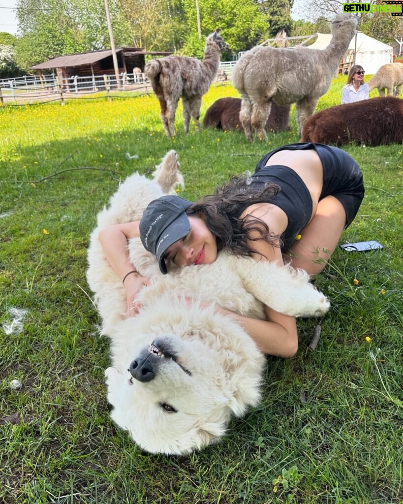 Nina Kaiser Instagram - Heute war der beste Tag meines Lebens 🦙👍🏼