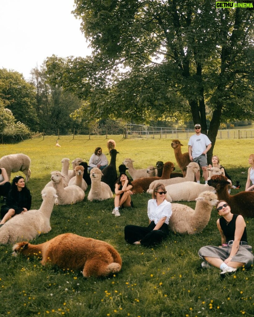 Nina Kaiser Instagram - Heute war der beste Tag meines Lebens 🦙👍🏼