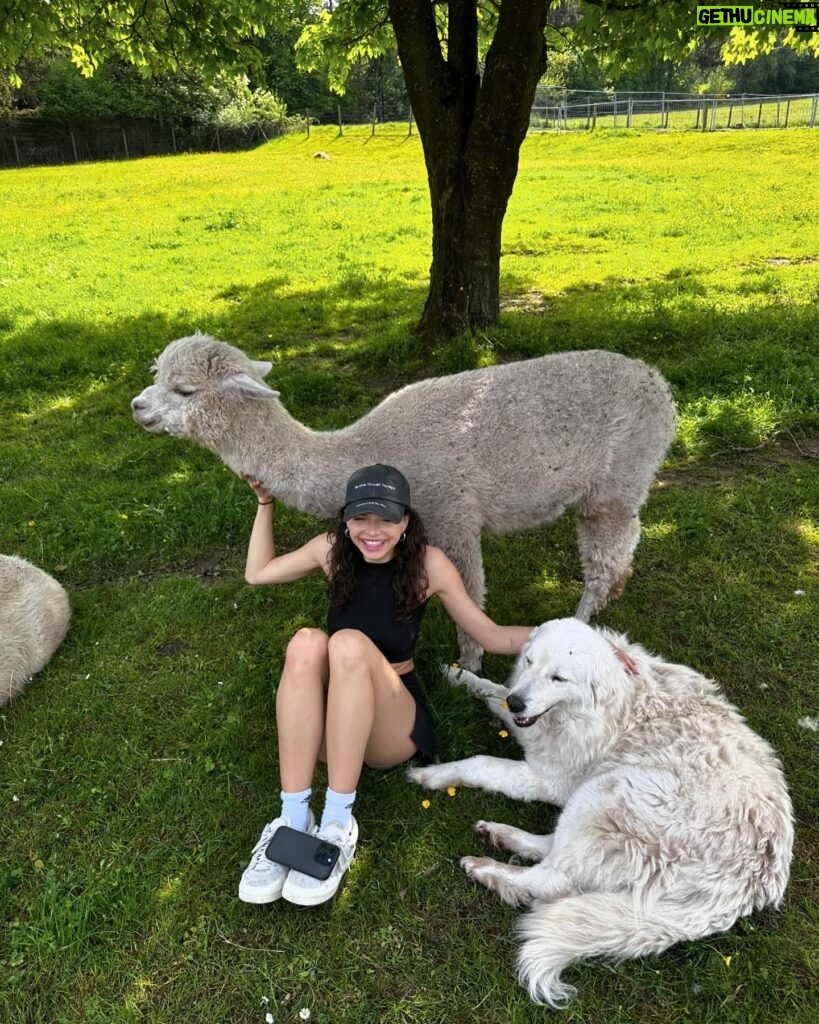 Nina Kaiser Instagram - Heute war der beste Tag meines Lebens 🦙👍🏼