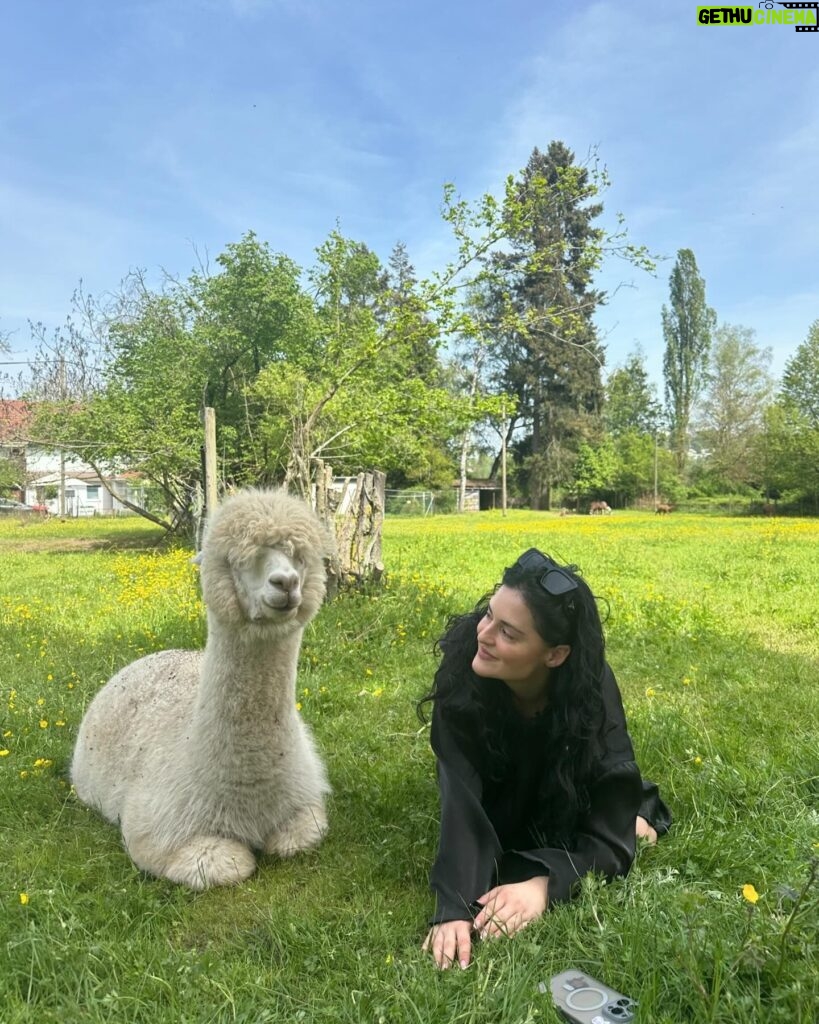 Nina Kaiser Instagram - Heute war der beste Tag meines Lebens 🦙👍🏼