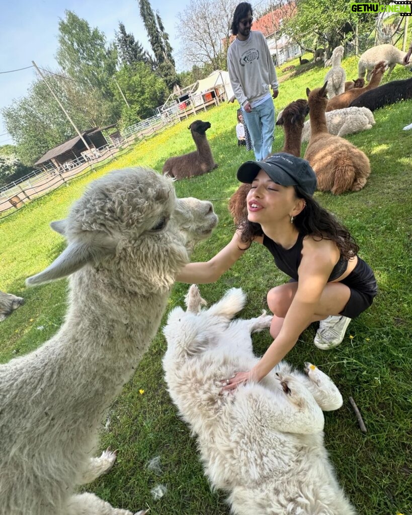 Nina Kaiser Instagram - Heute war der beste Tag meines Lebens 🦙👍🏼