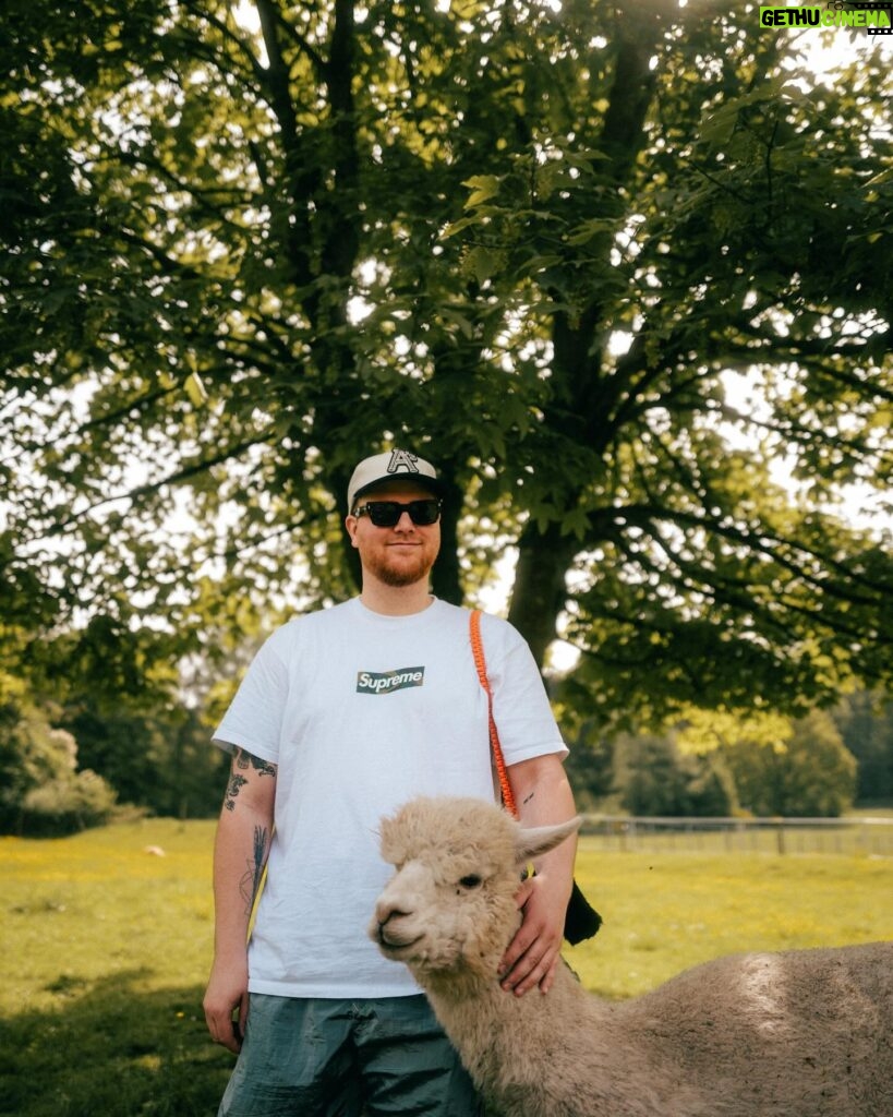 Nina Kaiser Instagram - Heute war der beste Tag meines Lebens 🦙👍🏼