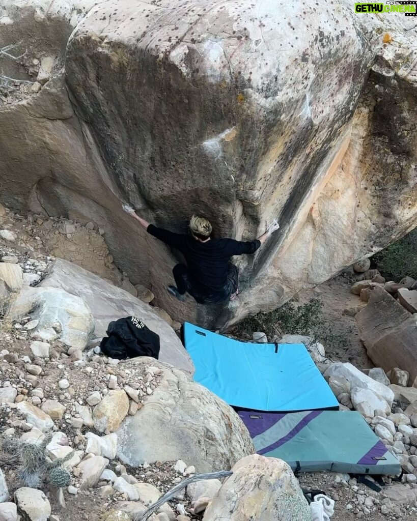 Nina Williams Instagram - Vegas thus far. The gang tryin hard, falling off, getting back on again. #bouldering 📸 9 @jordi.llauvi @thenorthface_climb @scarpana @organicclimbing 🙌🏼