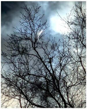 Nirup Bhandari Instagram - So the Moon blocked the Sun and we all looked up 😎
#solareclipse2024