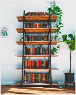 Nirup Bhandari Instagram - Lazy Sunday morning after an eventful week: a long-awaited family reunion, constant rain showers, a surprising 4.8 magnitude earthquake, and the comfort of Franklin Library books paired with endless coffee. ☕️📚