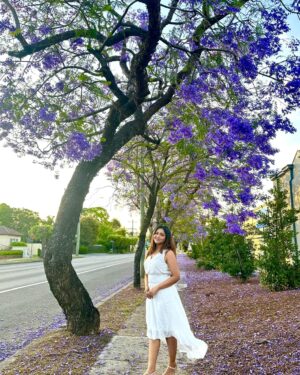 Nishat Priom Instagram - #jacaranda #sydneyaustralia #jacarandaseason #Nishat_priom 💜