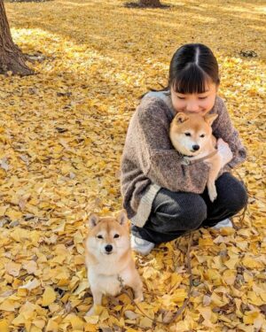 Nono Maida Instagram - 以前ドラマで共演した#くるみ と久しぶりに会うことが出来ました🐾
#りこ ちゃんとは初対面だったけど、とってもお利口さん👏
良いお天気でお散歩日和でした🥰
また会えますように✨