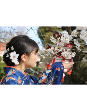 Nono Maida Instagram - 🌸
今年は#四天王寺 で着物のお写真を撮りました📷
撮影時は桜が少ししか咲いていなかったので、今がちょうど見頃かもしれません🤭

亀が池にいっぱいいたり、小鳥が木の実をたべていて可愛いかったです🕊️
親切な地元の方が、桜のトンネルの写真が撮れるというおすすめの場所を教えてくださったので、また機会があれば行ってみたいです✨

もう1人、事務所の方と一緒に写真を撮ったので、また後日改めてご紹介したいと思います☺️

#毎田暖乃  #ルート