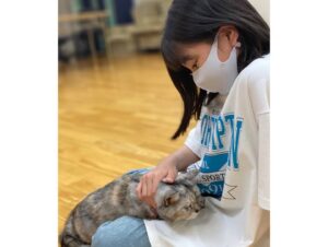 Nono Maida Instagram - ドラマの撮影中に撮った
空✈️とネコ🐈
飛行機が飛んだ跡がクッキリわかる空は初めて見ました✨

3枚目の写真は事務所の先生が飼ってる猫ちゃんです🧡
動物は本当に可愛くて癒されます🍀