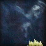 Nora Tschirner Instagram – Der Himmel über Emmis Trampolin. Es geht los, Leute. 🖤

#gutgegennordwind
#danielglattauer
#vanessajopp
#abjetzt
#imkino