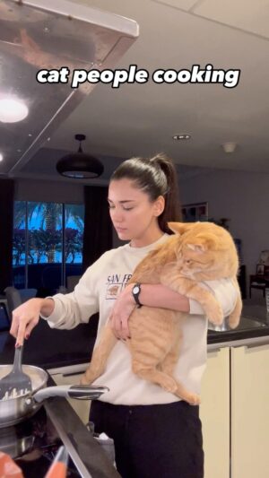 Nur Berfin Çiroğlu Instagram - No Humans Were Harmed in the making of this video 😅🐈💕