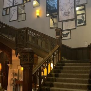 Nur Berfin Çiroğlu Instagram - Harry Potter ı Gülseren Budayıcıoğlu yazsaydı, Hermoniyi kesin ben oynardım ama olanları görüyosunuz..