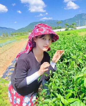 Oh Seung-hee Instagram - ⠀ 
🌳리틀 오레스트🌳#점빵문열었습니다