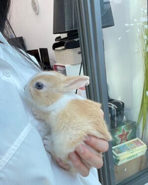 Oh Seung-hee Instagram - ㄲ6총🐰와랄라
