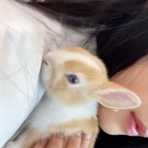 Oh Seung-hee Instagram - ㄲ6총🐰와랄라
