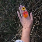 Olesya Rulin Instagram – Earlier this spring, we planted 2 acres worth of wildflowers. These are just some of the new growth for our pollinators. I’m looking forward to next spring to see the rest of them bloom.