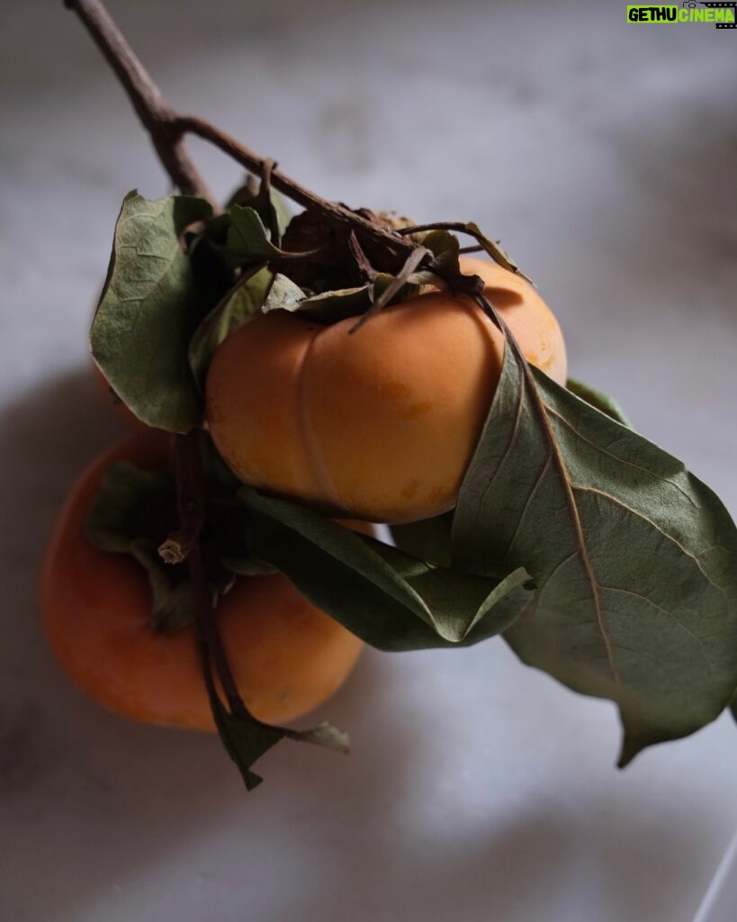 Olesya Rulin Instagram - The last of my Autumn fruit.