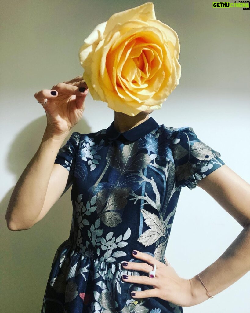 Olga Shelest Instagram - Blooming in the night🌼