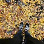 Olga Shelest Instagram - 🎾🍃🍂🍁🌾 #Flag #australiancattledog #redheeler #fall