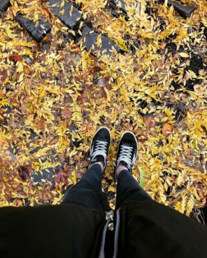 Olga Shelest Instagram - 🎾🍃🍂🍁🌾 #Flag #australiancattledog #redheeler #fall