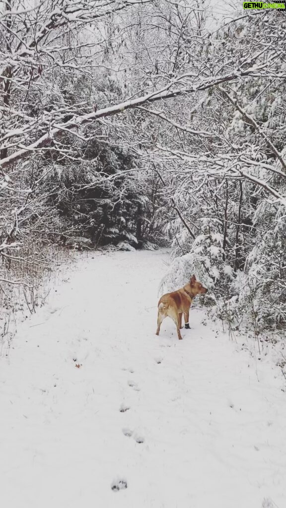 Olga Shelest Instagram - ❄️❄️❄️ #1января #доедаем #допиваем #гуляем