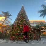 Olivia Sanabia Instagram - Merry Christmas to you and yours!!!! 🎄🎄🎄🎄