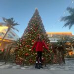 Olivia Sanabia Instagram - Merry Christmas to you and yours!!!! 🎄🎄🎄🎄