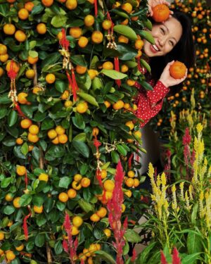 Oon Shu An Instagram - 👋helloooo my dears. Wishing you all a Happy Lunar New Year!! 大吉大利, 龙年行大运, liberation and justice for all!! ♥️♥️🍊🍊✨✨🧧🧧 sending you all a whole tonne of love!! May it bring you all you need!!

Expansion-

Celebrations have been strange and precious for me these past few months. I think same as a lot of people, I have never felt this level of despair at the world in my life. But being with friends and family, holding and being with each other has also been what has filled my tank. On a personal level, there have been many things that I’ve actually been quite happy about that I maybe haven’t given enough space to. 

So i guess this is me practising expansion and how to hold both joy and pain at the same time, in a space/world that conditions us to feel either or. 

Oh!! I finally figured out my new year resolution: To not lose faith in humanity. lol. because to do so would be to surrender my own. I reject!!

Hug a loved one, send a message to someone you love, buy an e-sim, say something good about someone to someone else, make a donation, share a story, witness, learn, enjoy life, laugh, do something nonsensical, question a held belief, challenge it, grieve for those in pain, grieve for those no longer here, connect with people who care about the same things, hold space, get angry about injustice, get compassionate, listen, do something about what you care about, put on something nice that makes you feel good, remind myself that I am human. Love. Rage. Witness. Grieve. Celebrate. Connect. 🫶🍊🍊

♥️新年快乐♥️