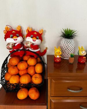 Oon Shu An Instagram - 👋helloooo my dears. Wishing you all a Happy Lunar New Year!! 大吉大利, 龙年行大运, liberation and justice for all!! ♥️♥️🍊🍊✨✨🧧🧧 sending you all a whole tonne of love!! May it bring you all you need!!

Expansion-

Celebrations have been strange and precious for me these past few months. I think same as a lot of people, I have never felt this level of despair at the world in my life. But being with friends and family, holding and being with each other has also been what has filled my tank. On a personal level, there have been many things that I’ve actually been quite happy about that I maybe haven’t given enough space to. 

So i guess this is me practising expansion and how to hold both joy and pain at the same time, in a space/world that conditions us to feel either or. 

Oh!! I finally figured out my new year resolution: To not lose faith in humanity. lol. because to do so would be to surrender my own. I reject!!

Hug a loved one, send a message to someone you love, buy an e-sim, say something good about someone to someone else, make a donation, share a story, witness, learn, enjoy life, laugh, do something nonsensical, question a held belief, challenge it, grieve for those in pain, grieve for those no longer here, connect with people who care about the same things, hold space, get angry about injustice, get compassionate, listen, do something about what you care about, put on something nice that makes you feel good, remind myself that I am human. Love. Rage. Witness. Grieve. Celebrate. Connect. 🫶🍊🍊

♥️新年快乐♥️