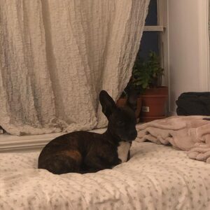 Oona Laurence Instagram - %*%*%*duality~~~~*,*~*✌️✌️❣️😍❣️❤️👍☯️☯️🧚‍♀️☯️💭💭💭