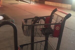 Oona Laurence Instagram - friendly reminder to lock up your target carts thank me later