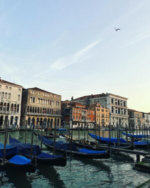 Ophelia Lovibond Instagram - Adoro Italia 💚🤍❤️ #ladolcevita #venezia #travelbug #🇮🇹 #pastapastapasta #tiamoitalia