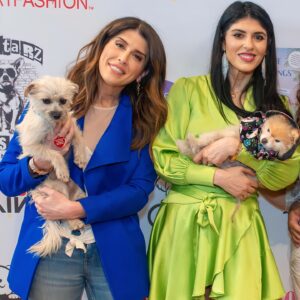 Orfeh Instagram - ❗️Up for adoption❗️pls share 🐶 

Meet the adoptable dogs from the @patriciafield x @pompomcharlie 🎂 rescue fashion show!

Slide 1: From @pupstarzrescue {ADOPTED!!!}
Dafffodil, 10yr old lovable female (left)

Angie, 19yr old sweet dachshund (right) {ADOPTED}

Slide 2:  From @gattopupsandfriends 
Bonded Yorkies Peep (13yrs old) and Cadbury (15yr old) we'd love for these angels to be rescued together. They get along with everyone including kids and other dogs.

Slide 3: From @animalhaven {ADOPTED!!!}
Adelaide, our 1 year old, 6lbs baby who is a snuggler, house-trained and as sweet as can be.

Slide 4: From @animalhaven 
Ezzy Zhoo, a 14yr old Pomeranian. He's an active, calm pup ready to find his forever family

Slide 5: From @truenorthrescuemission (ADOPTED)
Benny, a 1 year old a quiet and respectful love bug being fostered by @laurenscala 

(More photos of the pups in the slides after)

All the outfits are one-of-a-kind 'Kiss the Dogs NYC for Patricia Field ArtFashion and will be available on patriciafield.com 

📷  @melvinmescudi and @Graylockphoto  #JenniferGraylock, #Graylockphoto