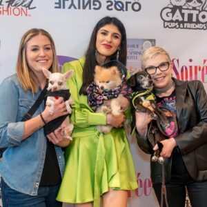 Orfeh Instagram - ❗️Up for adoption❗️pls share 🐶 

Meet the adoptable dogs from the @patriciafield x @pompomcharlie 🎂 rescue fashion show!

Slide 1: From @pupstarzrescue {ADOPTED!!!}
Dafffodil, 10yr old lovable female (left)

Angie, 19yr old sweet dachshund (right) {ADOPTED}

Slide 2:  From @gattopupsandfriends 
Bonded Yorkies Peep (13yrs old) and Cadbury (15yr old) we'd love for these angels to be rescued together. They get along with everyone including kids and other dogs.

Slide 3: From @animalhaven {ADOPTED!!!}
Adelaide, our 1 year old, 6lbs baby who is a snuggler, house-trained and as sweet as can be.

Slide 4: From @animalhaven 
Ezzy Zhoo, a 14yr old Pomeranian. He's an active, calm pup ready to find his forever family

Slide 5: From @truenorthrescuemission (ADOPTED)
Benny, a 1 year old a quiet and respectful love bug being fostered by @laurenscala 

(More photos of the pups in the slides after)

All the outfits are one-of-a-kind 'Kiss the Dogs NYC for Patricia Field ArtFashion and will be available on patriciafield.com 

📷  @melvinmescudi and @Graylockphoto  #JenniferGraylock, #Graylockphoto