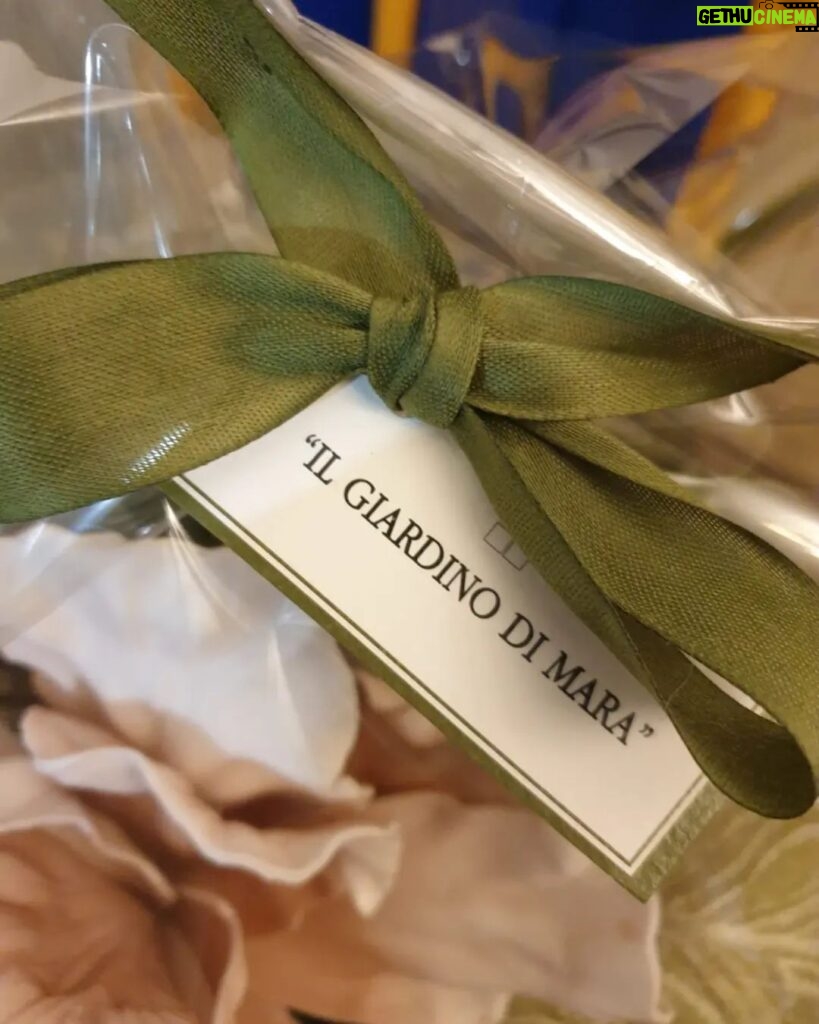 Orietta Berti Instagram - Care amiche e cari amici, oggi permettetemi di ringraziare il dott. Andrea Spadoni che per le festività mi ha inviato questo bellissimo cesto di #fioridiseta meraviglioso...creato a mano da @il_giardino_di_mara ❤🧡💚💝💛💙💜💗... insieme a tanti prodotti dalla splendida masseria pugliese💖 Grazie💖 al dott. Spadoni e ai tantissimi che con un messaggio, con un pensiero, con una lettera, con un disegno...o con un dolcetto hanno voluto inviarmi il loro affetto nelle scorse settimane. Grazie Grazie Grazie🌈⭐ con affetto❤ Orietta #fiori #fioridisetafattiamano #andreaspadoni #masseria @masseria.santo.scalone #paccoinviatodamasseriasantoscalone #pensieri #fattiamano #auguri #love💖 #annonuovo #2024 #affettoestima #emozioni