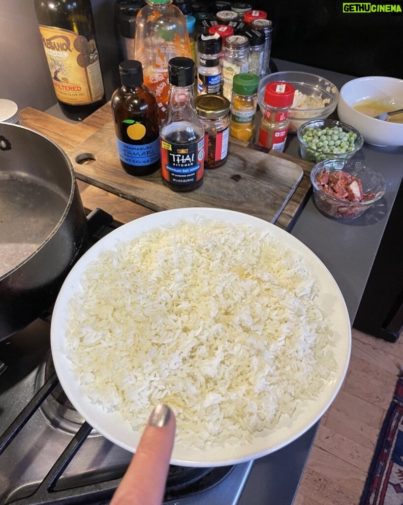 Paget Brewster Instagram - Rice prep.