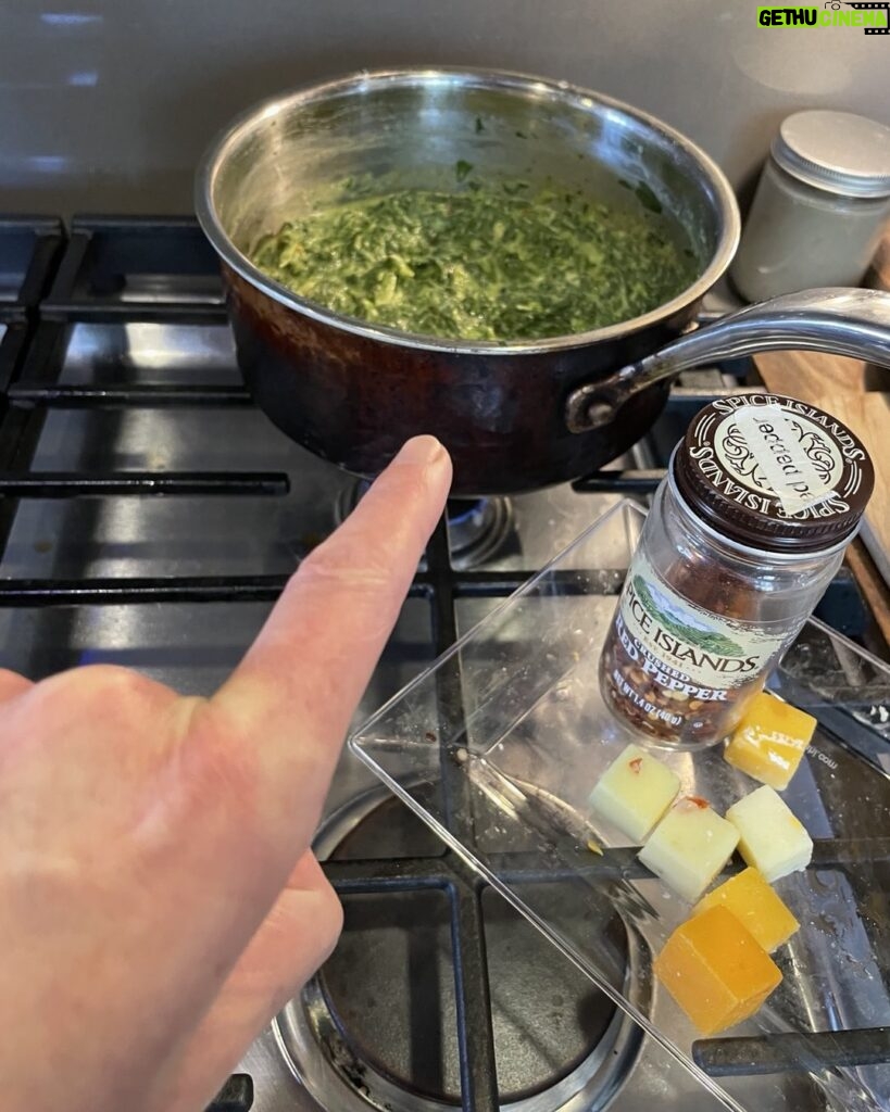 Paget Brewster Instagram - Creamed spinach.