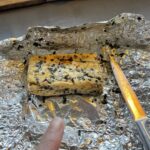 Paget Brewster Instagram - Furikake tamago.