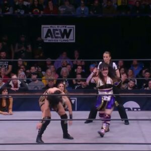 Paige Wooding Instagram - Another one drinks the Hayterade…

#AEWRampage 
#HayterHitsHard