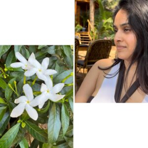 Pallavi Patil Instagram - Be patient with yourself 🌸🌼🌺
.
.
Don’t miss last photo 😁
.
.
#flowersandme #goa #metime #doodling #pallavipatil