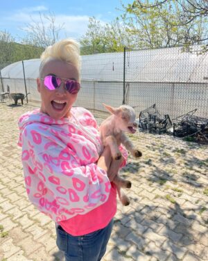 Pamela Spence Instagram - Akraba ziyareti😍🐐💕 #keci #goat #justagirlwholovesgoats #cücekeçiçiftliği