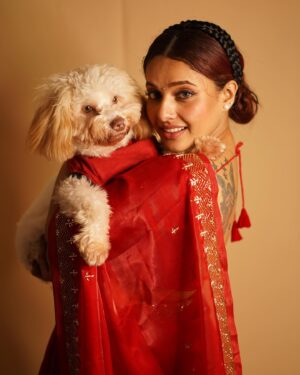 Pamela Mandal Instagram - Romeo & mamma

💕💕#dogsofinstagram #doglover #reels #reelsinstagram #reelsindia #viral #Instagram #instalike #instadaily #like #life #loveofmylife #romeo #mylove #doglife #dogphotography #mylifeline #mylove #family