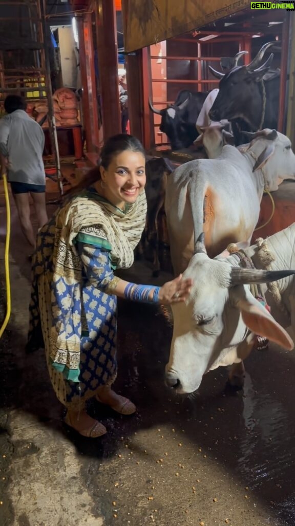 Pamela Mandal Instagram - Divine🐄🙏 #instagood #instagram #radheradhe #blessed #spriritual #instalike #photography #l #instadaily #picoftheday #beautiful #myself #likeforfollow #divain #prabhu #dance #smile#h #krishna #radheradhe #gopi #gopidress #instalike #photography #l #instadaily #picoftheday #beautiful #myself #likeforfollow #divain #prabhu #dance #smile#h #krishna #radheradhe #gopi