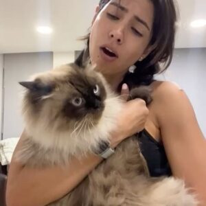 Pamela Sambrano Instagram - El que diga que no soy la madre de mis hijos 🐈 🐈‍⬛ no sabe nada de la vida. Adjunto evidencias: fotos 4y6.

Voy con rulo porque quiero llegar peinada donde mi mamita, la gente me mira raro. Pero al final eso nunca importa. 

Wall eeeeeeeee 🥹🥹🥹
Te amo @vicentetaianoec 🐱 

Abrazo melcochoso para todas las mamitas y los papás que hacen de mamitas también 💓