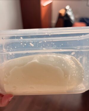 Paola Velez Instagram - Queso de hoja Dominicano | Dominican layer cheese 🥰
You know what, I believe that the dairy that we get in the mid Atlantic makes the best Dominican cheese. 
I got my milk from Maryland and it’s chefs kiss 
#quesodehoja #dominicancheese #caribbeanfood #dominicanfood #cheese #handmadecheese #midatlantic